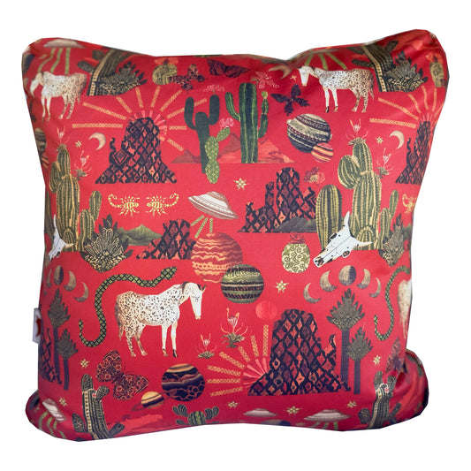 The Western Pillow ⋆˖°.𖤓𓄀🂾𐚁𓃗.°˖⋆